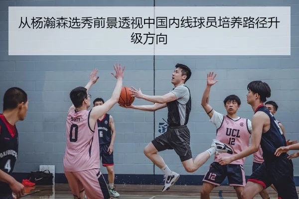 从杨瀚森选秀前景透视中国内线球员培养路径升级方向